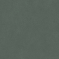 Про Чементо Керамогранит зелёный матовый обрезной DD642120R 60x60