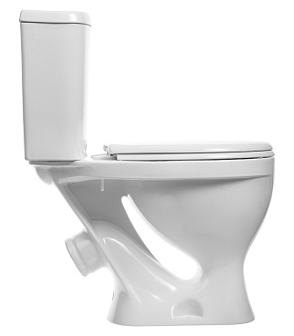 Унитаз-компакт Sanita Формат с косым выпуском с сиденьем пластик белый (WC.CC/Format/1-P/WHT.G/S1)