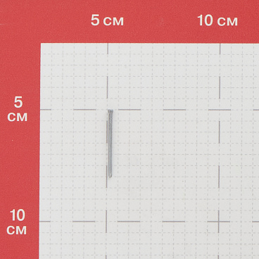 Гвозди финишные 1,6x30 мм оцинкованные (0,1 кг)