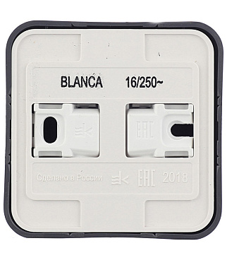 Розетка Systeme Electric Blanca накладная антрацит со шторками (BLNRA011116)