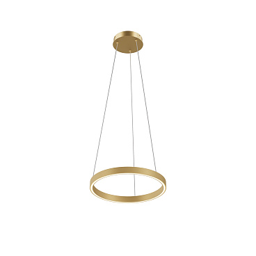 Подвесной светильник Maytoni MOD058PL-L22BSK