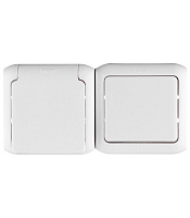 Блок выключатель и розетка Legrand Quteo одноклавишный накладной белый (782318)