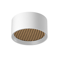 Потолочный светильник Technical C122CL-L7-3K-W