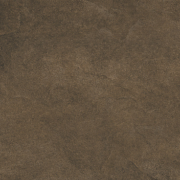 Про Стоун Керамогранит коричневый обрезной DD600220R 60x60