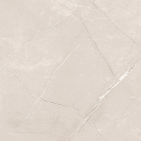 Витрум Тауп Керамогранит бежевый 60х60 матовый