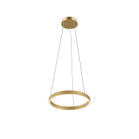 Подвесной светильник Maytoni MOD058PL-L22BSK