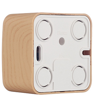 Розетка компьютерная Systeme Electric Blanca накладная ясень RJ45 (BLNIA045005)