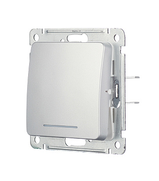 Выключатель Hegel Master одноклавишный встраиваемый серебро с подсветкой (ВС10-412-06)