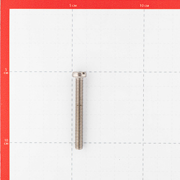 Винт нержавеющая сталь M6x50 мм DIN 84 цилиндрическая головка (4 шт.)