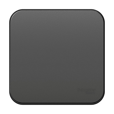 Переключатель Systeme Electric Blanca одноклавишный накладной антрацит (BLNVA106016)