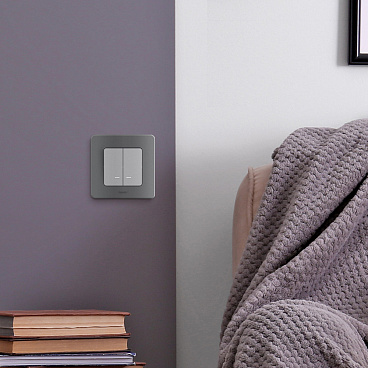 Выключатель Legrand Inspiria двухклавишный встраиваемый алюминий с подсветкой (673632)