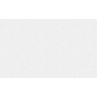 Обои компакт-винил на флизелиновой основе Erismann Opera 60953-02 (1,06х10,05 м)