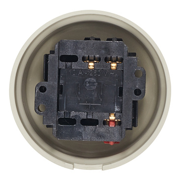 Выключатель Bironi Лизетта двухклавишный накладной слоновая кость ретро (B1-202-211)