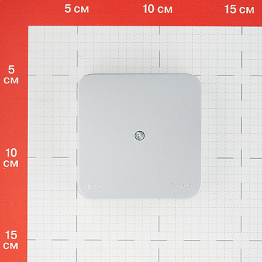 Коробка распределительная Systeme Electric Blanca накладная алюминий (BLNRK000013)