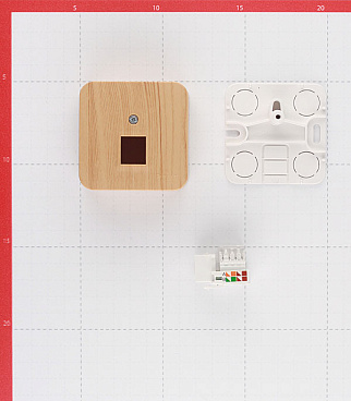 Розетка компьютерная Systeme Electric Blanca накладная ясень RJ45 (BLNIA045005)