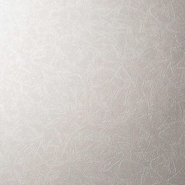 Обои вспененный винил на флизелиновой основе Renowa Respect 38104-03 (1,06х10,05 м)