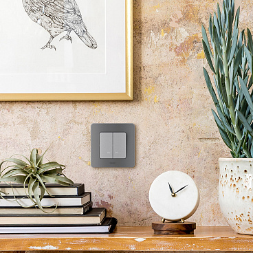 Выключатель Legrand Inspiria двухклавишный встраиваемый алюминий с подсветкой (673632)