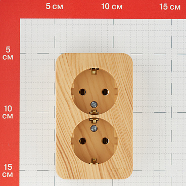 Розетка Systeme Electric Blanca накладная ясень (BLNRA010215)