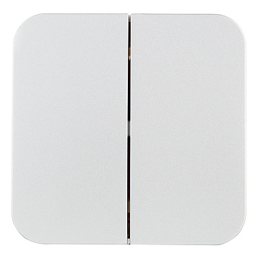 Выключатель Systeme Electric Blanca двухклавишный накладной алюминий (BLNVA105013)