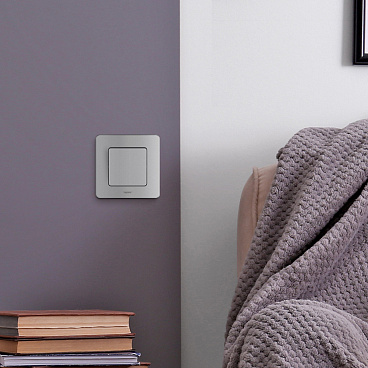 Выключатель Legrand Inspiria одноклавишный встраиваемый алюминий (673602)