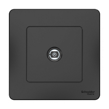 Розетка телевизионная Systeme Electric Blanca встраиваемая антрацит (BLNTS000016)