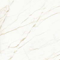 Европа Голд Керамогранит белый 60х60 матовый гравированный