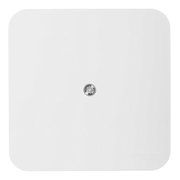 Коробка распределительная Systeme Electric Blanca накладная молочная (BLNRK000012)