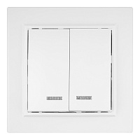 Выключатель EKF Минск двухклавишный встраиваемый белый с подсветкой (ERV10-123-10)