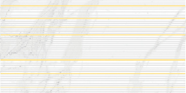 Olimpus Race Декор белый 25х50