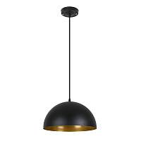 Светильник подвесной Arte Lamp Carmel E27 40 Вт 1 кв.м черный IP20 (A7077SP-1BK)