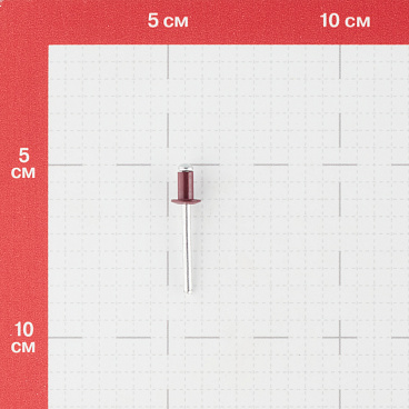Заклепка вытяжная 4,8x8 мм алюминий/сталь красная RAL 3005 (100 шт.)