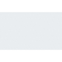 Обои компакт-винил на флизелиновой основе Erismann Richard 60833-03 (1,06х10,05 м)