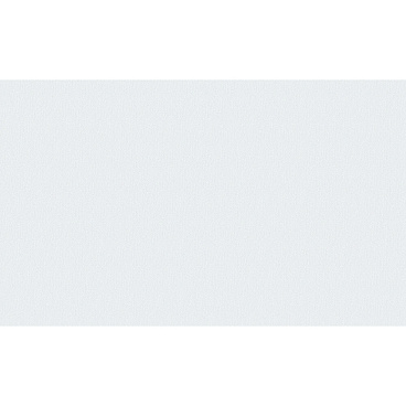 Обои компакт-винил на флизелиновой основе Erismann Richard 60833-03 (1,06х10,05 м)