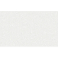 Обои под покраску виниловые на флизелиновой основе фактурные антивандальные Erismann Defender 2922-1 (1,06х25 м) плотность 106 г/кв.м