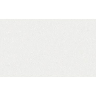 Обои под покраску виниловые на флизелиновой основе фактурные антивандальные Erismann Defender 2922-1 (1,06х25 м) плотность 106 г/кв.м