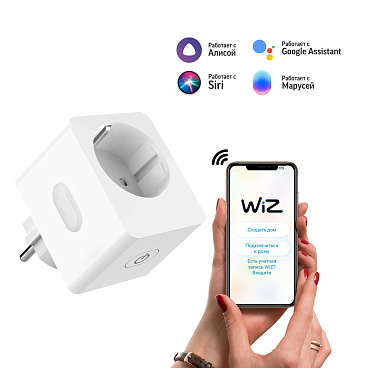 Умная розетка Gauss Smart Home (5510122) белая с заземлением