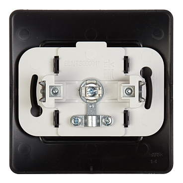 Розетка телевизионная Systeme Electric Blanca встраиваемая антрацит (BLNTS000016)