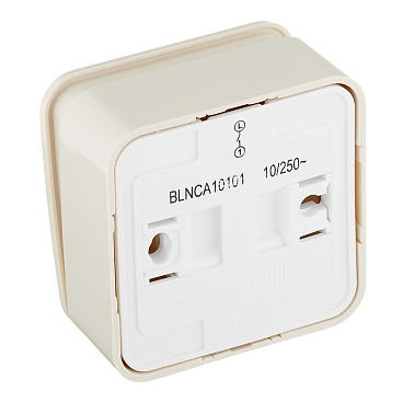 Выключатель Systeme Electric Blanca одноклавишный накладной бежевый с самовозвратом (BLNCA101017)