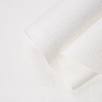 Обои под покраску вспененный винил на флизелиновой основе фактурные Palitra Home Colorist 417-01 (1,06х25 м) плотность 109 г/кв.м