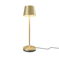 Аккумуляторный светильник Maytoni MOD494RL-L1BSK