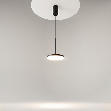 Подвесной светильник Maytoni P076PL-L12W4K-B