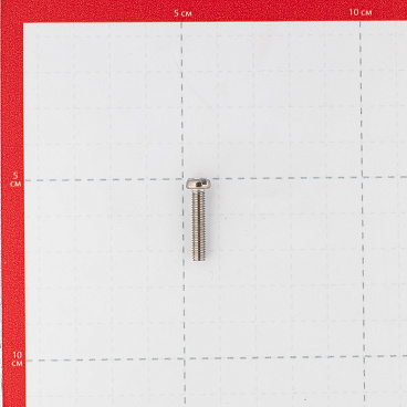 Винт нержавеющая сталь M4x20 мм DIN 84 цилиндрическая головка (8 шт.)