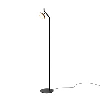 Напольный светильник (торшер) Maytoni MOD451FL-L8B3K