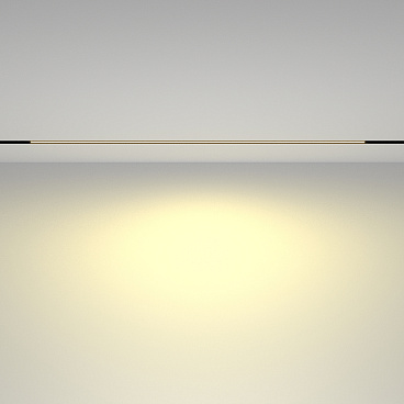 Трековый светильник Technical TR030-2-30W2.7K-B