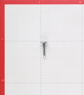 Гвозди толевые 3,0x20 мм оцинкованные (0,5 кг)