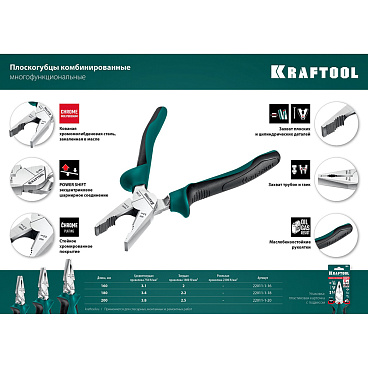 Плоскогубцы комбинированные Kraftool Expert 160 мм (22011-1-16_z01)