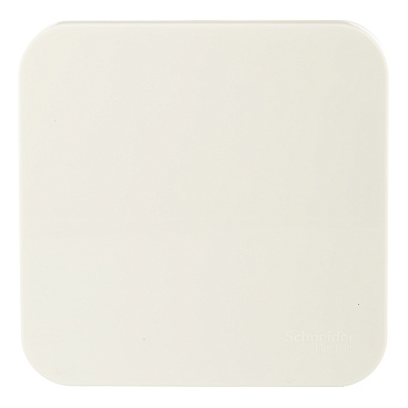 Выключатель Systeme Electric Blanca одноклавишный накладной бежевый с самовозвратом (BLNCA101017)