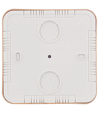 Коробка распределительная Systeme Electric Blanca накладная ясень (BLNRK000015)