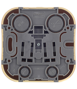 Розетка Legrand Quteo накладная дерево (782271)