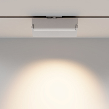 Трековый светильник Technical TR223-1-12WCCT-W-W